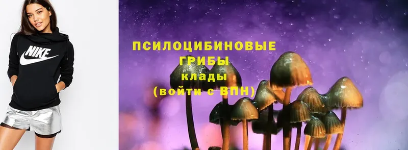 Псилоцибиновые грибы MAGIC MUSHROOMS  где купить   Карабаш 